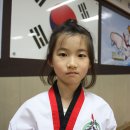 성우태권도장 이미지