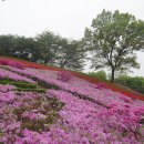 고강선사유적공원 이미지
