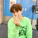 쌀강아지 이미지