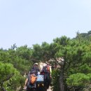 비봉지구대 이미지