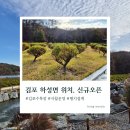 반송순환로 | 평지와 비석까지, 김포수목장 답사기록