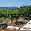 손덕문 공인중개사사무소 이미지