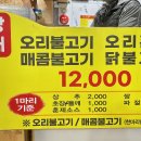 우리집 오리 이미지