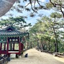 솔밭공원화장실 이미지