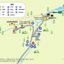 단양 황정산자연휴양림 연립동 C동 신선봉 숙박 후기 가족여행