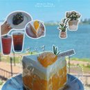 쎄븐일레븐부산 강서구랑점 | 부산 강서구 카페 엠오엘 낙동강 뷰와 생망고 케이크가 완벽한 빵 맛집