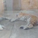 대전아쿠아리움 이미지