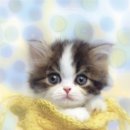 이컴퍼니 이미지