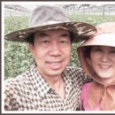 박순옥농장 이미지