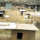 전의농장 이미지