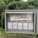 쿤스트할레미술학원 | 베른 자일파크(Seilpark) 이용 정보, 베른 쿤스트할레 설치미술 후기(+아시안 스트릿 푸드 페스티벌)