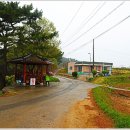 정자농산