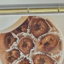 소소연담 이미지