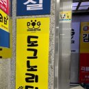 도그노리터 이미지