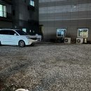 돌끝해물 이미지