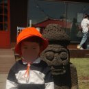 호호 닭 농장 이미지