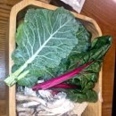 샤브연리지 밀양점 이미지