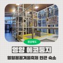 영양산촌박물관 | [경북 영양] 영양꽁꽁겨울축제 숙소는? 영양에코둥지(흥림산자연휴양림)
