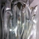 삼포방파제 이미지