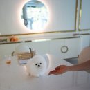 스테이 모량 이미지