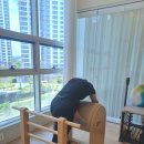 바디컨트롤 필라테스 | [청주 오송 필라테스] 무용과선생님이 직접 지도해주는 필라테스끝판왕 수업 후기