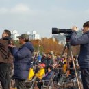 스타커머스 이미지