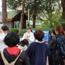 여명로25번길 이미지