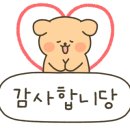 휴먼스탭스 이미지