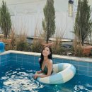 스테이오안풀빌라 네이버블로그
