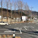 소나무 | 가평 아침고요수목원 맛집 한정식소나무 본점 솔직 후기