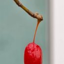 삼아어산 이미지