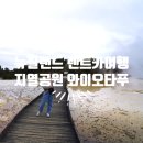 와이렌트카 이미지