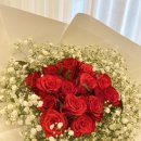 상남동272 이미지