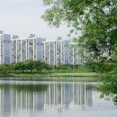 서초진실부동산중개 이미지