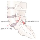 연세광혜병원 이미지