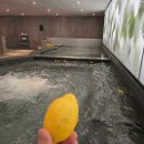 레몬사우나 이미지