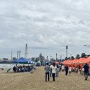 포항 송도 포장마차 축제 행사_ 포송마차 야시장 후기