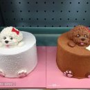 스페셜 퍼피 케이크 이미지