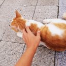 (주)서목 이미지