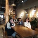 카페아르모니아