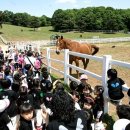 상영목장 이미지