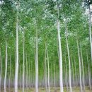 서경농장 이미지