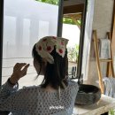 제주버틀러투어 | 푸시 비치빌라, 에메랄드 파루푸시 스파 체험, 돌핀투어, 사진촬영 서비스, 플로팅 조식, 긴급으로 닥터...