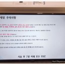세이유네일