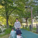 동탄 노작공원 산책 후 아기랑 가기 좋은 블루힐 카페