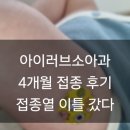 아이샘소아청소년과의원건식 | 아이러브소아과 4개월 접종 후기 접종열 이틀 갔다