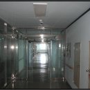 광양읍 광양동초등학교 네이버블로그