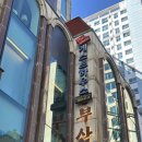 뮤직게스트 | 부산 광안리 혼자여행 숙소 추천✨ : 감성 뮤직라운지 바가 있는 더 뷰 게스트하우스 1인실 솔직후기 (평일)