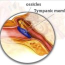 스타키보청기 종로센터 이미지