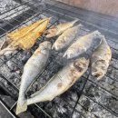 고흥재래시장 이미지